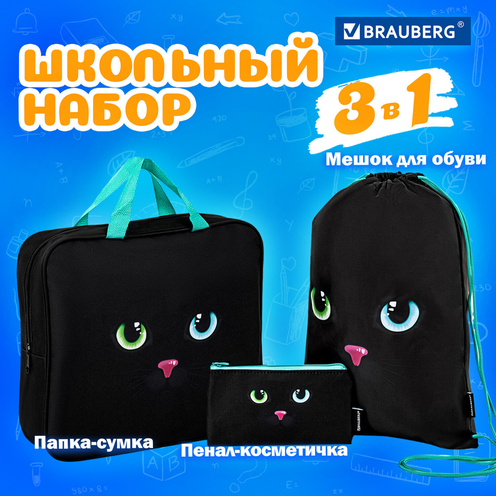 Папка на молнии с ручками А4 мешок для обуви 42х33 см пенал 20х10 см "Black cat" набор BRAUBERG