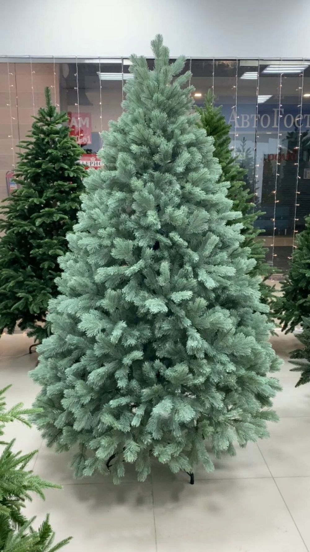Ель голубая искусственная «Бордо» (Литая хвоя) 210 см / 2.1 м