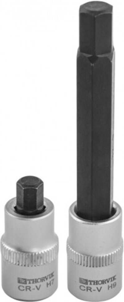 ASBS79 Набор вставок-бит для обслуживания тормозных механизмов 3/8"DR, Н7, Н9, 2 предмета