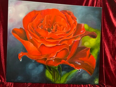 Картина «Красная Роза» | Холст, масло 60х70 см | Художница Ефимова Ольга