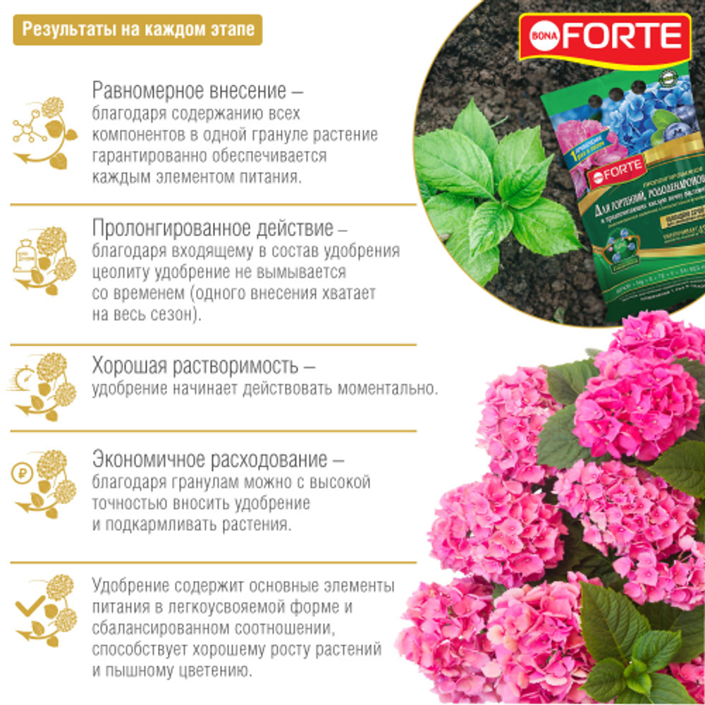 Удобрение BONA FORTE для ГОРТЕНЗИЙ, РОДОДЕНДРОНОВ, гранулированное пролонгированное, 2,5 кг