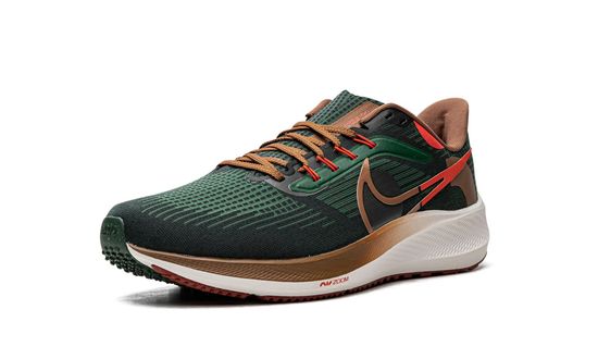 Кроссовки Nike Air Zoom Pegasus 39 "A.I.R. Hola Lou"