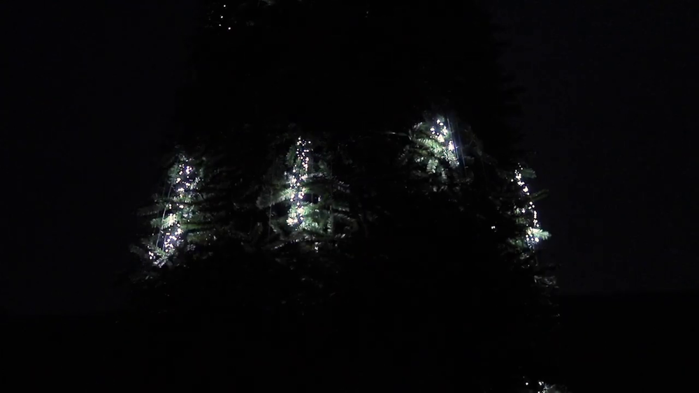 Уличная гирлянда "Тающие сосульки-Мишура" GT (24В) на елку от 4 до 30 м