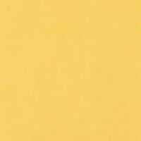 Фон бумажный FST 2,72X11M 1040 BULL горчичный