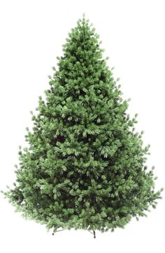Искусственная ёлка Баронесса 270 см