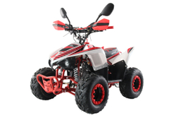 Квадроцикл MOTAX ATV Mikro 110cc