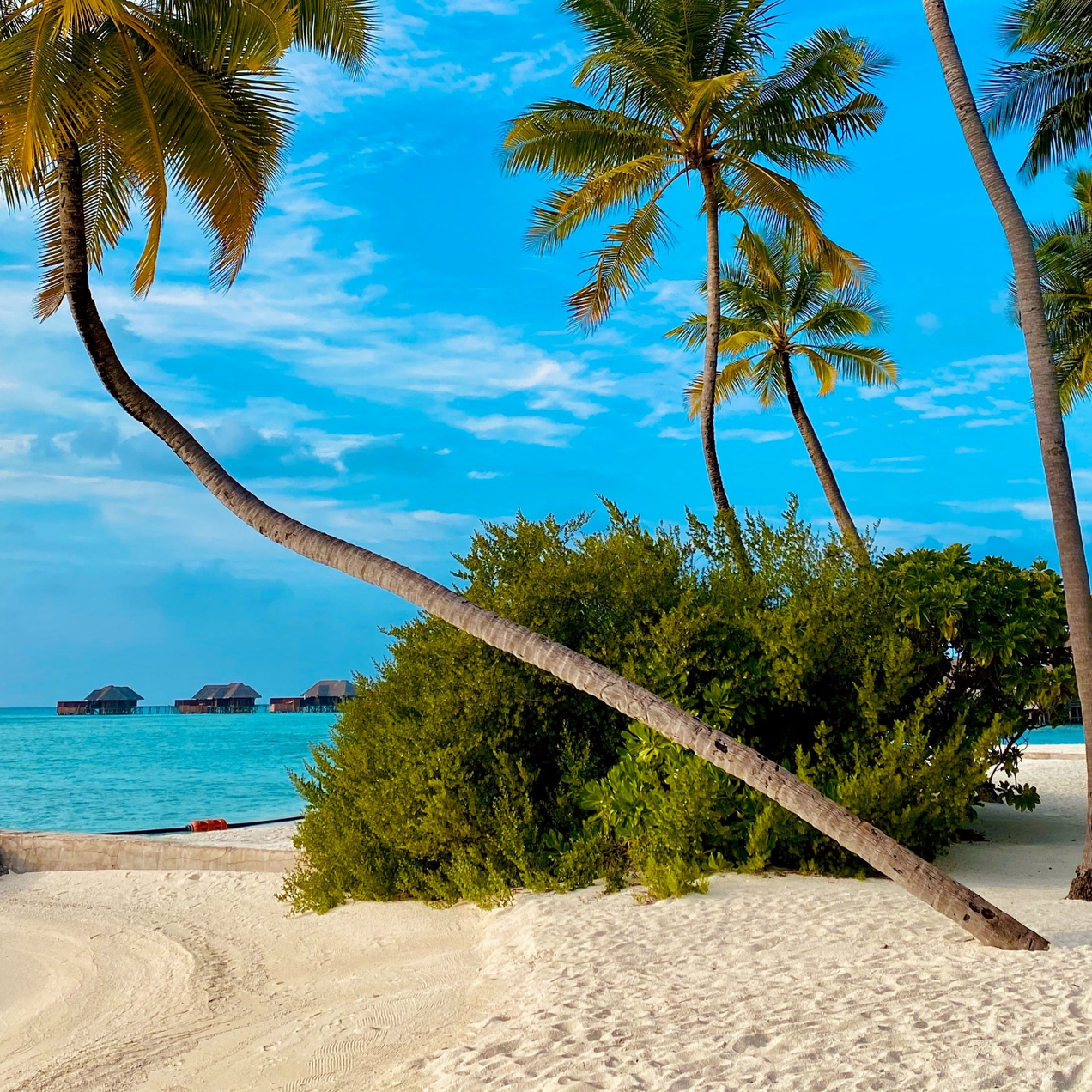 ИНДИВИДУАЛЬНЫЕ, ГРУППОВЫЕ И ТУРЫ КЛАССА ЛЮКС