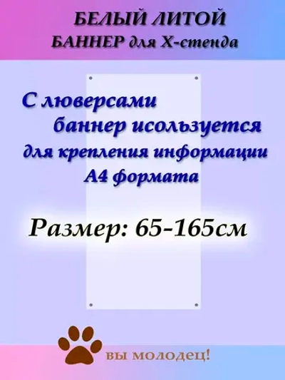 Баннер 65 на 165 см белый к мобильному стенду