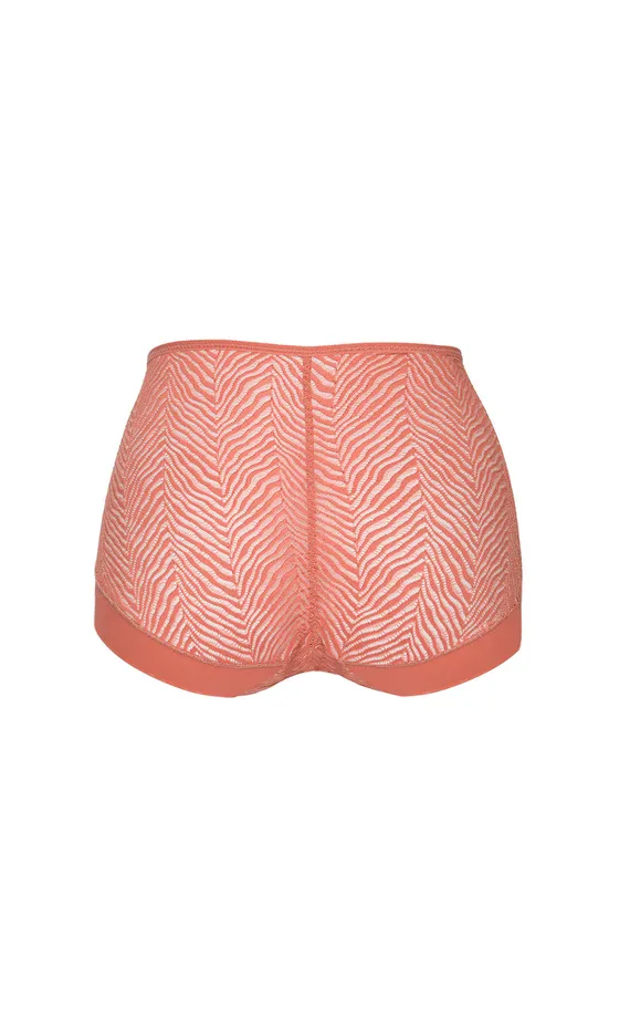 Трусы-слип Celeste Classic Lososiowy