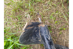 Бур 250 мм Huter AG-250 70/13/5