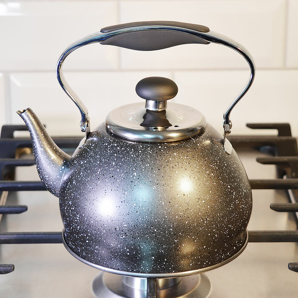 Чайник 1,2 нерж, матовый, индукция "Daniks" GS-04592C-1.2L