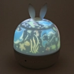 Диско-шар «Fantasy - Зайка» (в комплекте 6 картинок) 13*14 см, 5 реж, батарейки 4хАAА, USB, RGB (220V)