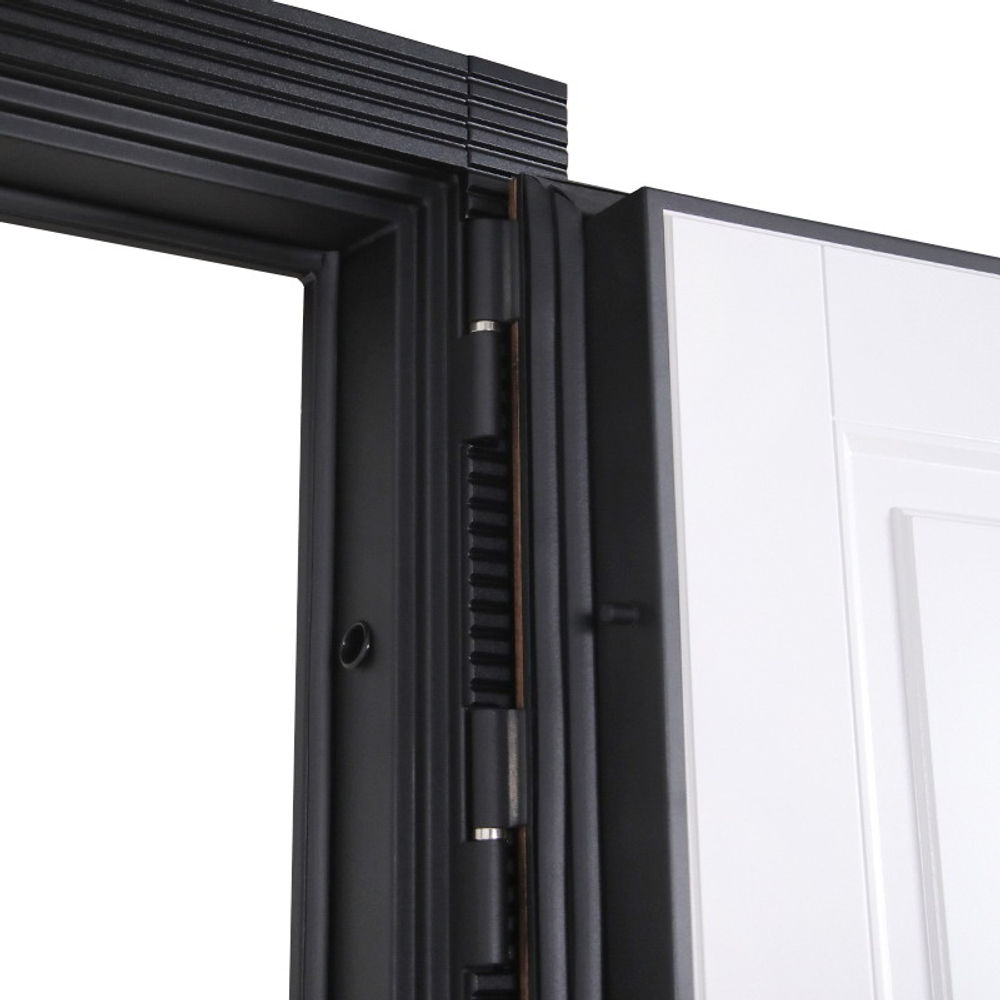 Стальная дверь "Берилл" (биометрический замок Y23). Заказная модель.