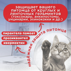 Таблетки АВЗ ДИРОНЕТ 200 для кошек и котят, 2 таблетки