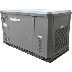 EVOline GNG 13500 E газовый генератор