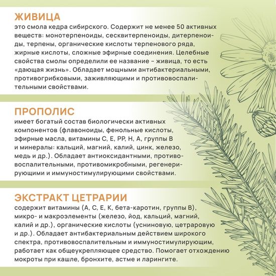 Жевательные пастилки без сахара ЛорАсепт