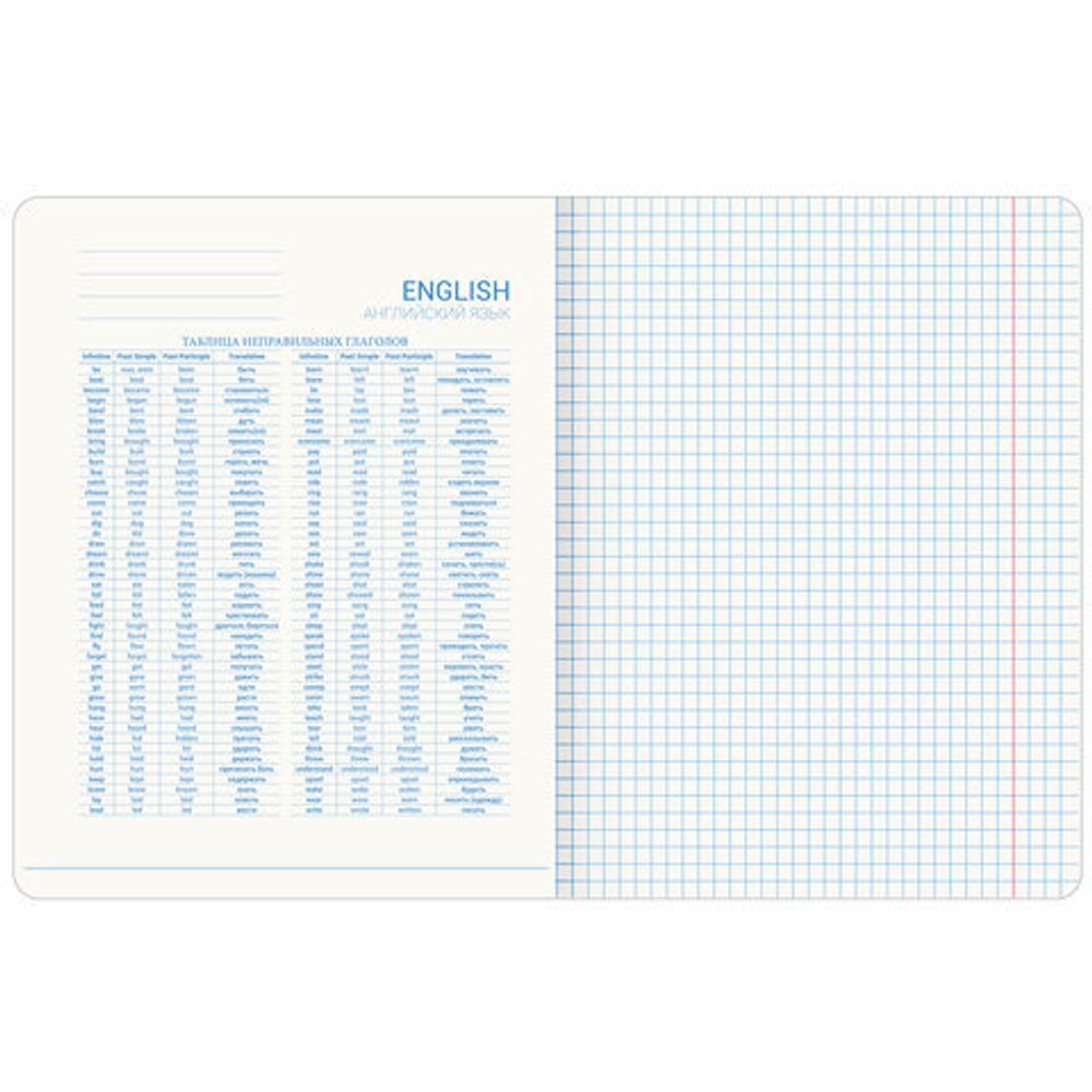 Тетрадь предметная со справочным материалом ORIGINAL 48 л., TWIN лак, АНГЛИЙСКИЙ ЯЗЫК, клетка, BRAUBERG, 404299