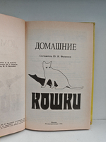 Домашние кошки