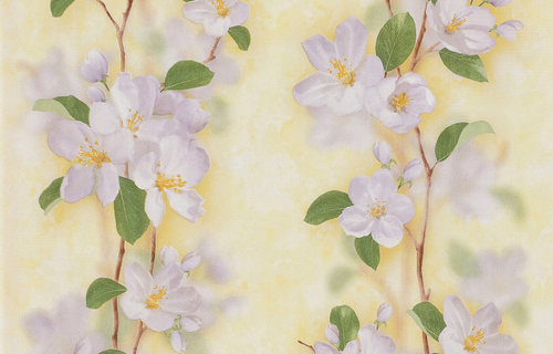 Обои Яблочный 7 Брянск