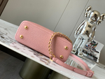 Louis Vuitton Capucines Mini