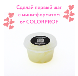 Шампунь для окрашенных волос с экстрактом брусники - COLOR SHAMPOO (250мл)