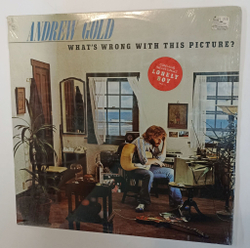 Винтажная виниловая пластинка LP Andrew Gold Whats Wrong With This Picture (USA 1976)