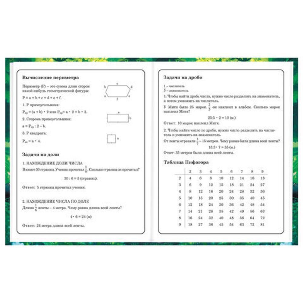 Дневник 1-4 класс 48 л., твердый, BRAUBERG, глянцевая ламинация, с подсказом, "Панда", 107158.