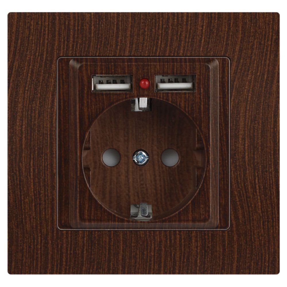 Розетка Intro Accent 6-410-10 , P+E Schuko со шторками, 16А-250В + 2хUSB, IP20, СУ, венге | Intro