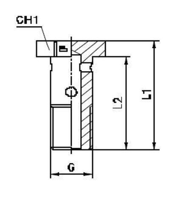 Фитинг BANJO BOLT M10x1 CAST