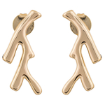 Серьги Fiore Luna ACE31599-01 G