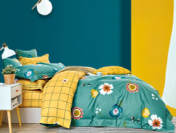 Постельное белье 1.5 спальное Asabella 1468-4S