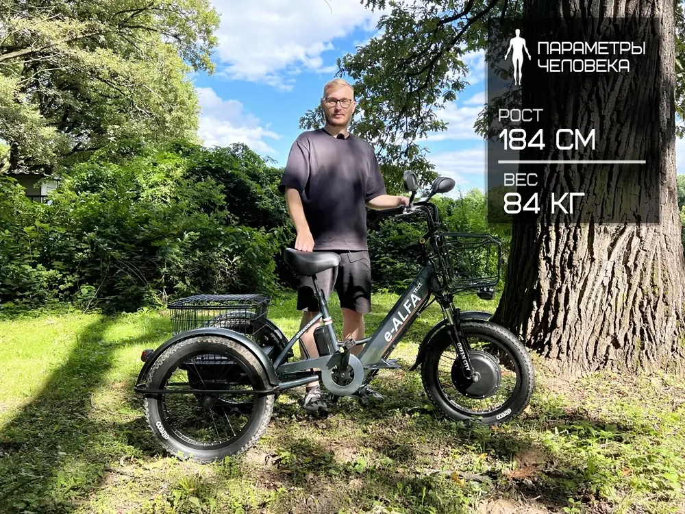 Электровелосипед GREEN CITY e-ALFA Trike (синий)
