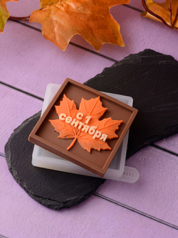 Молд для плитки шоколада "с 1 сентября"