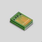 Культурный дневник