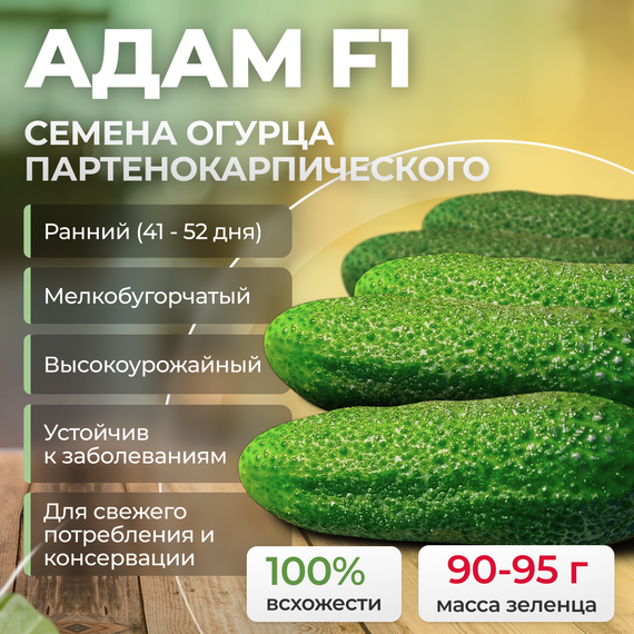 АДАМ F1 семена огурца партенокарпического (Bejo) купить