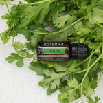 Эфирное масло doTERRA Кинза, Cilantro, 15 мл