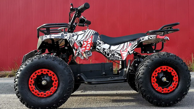 Квадроцикл PROMAX E-MINI 2.0 1000W