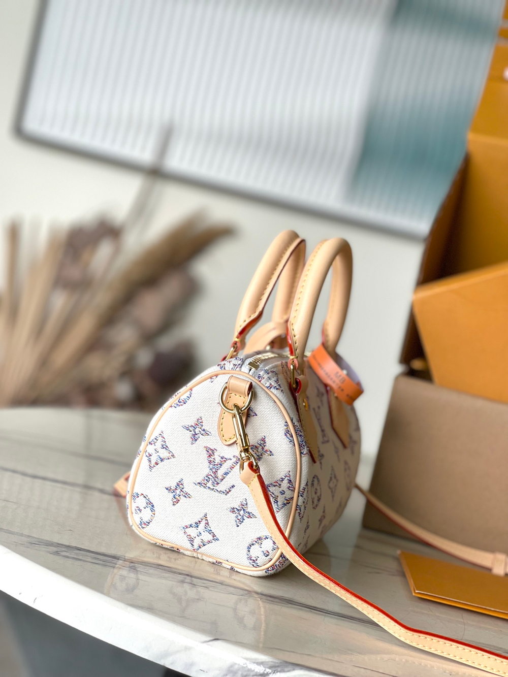 Louis Vuitton Speedy 20