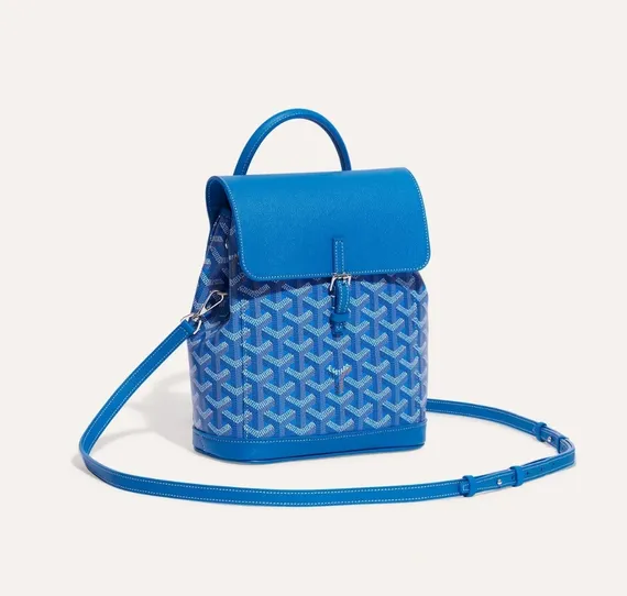 Рюкзак GOYARD Alpin Mini, синий