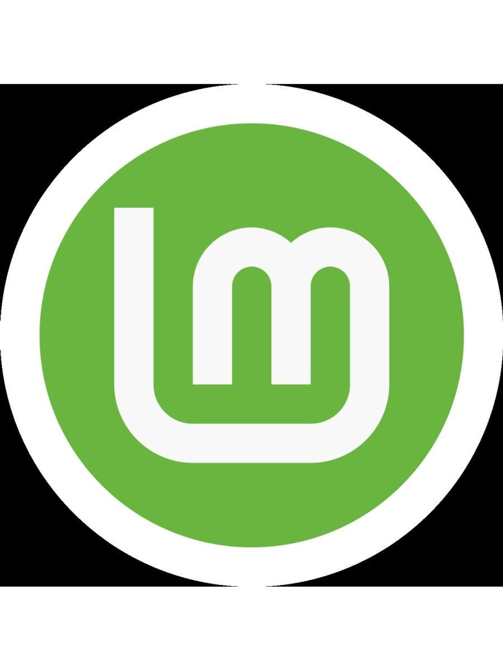 Linux Mint 20