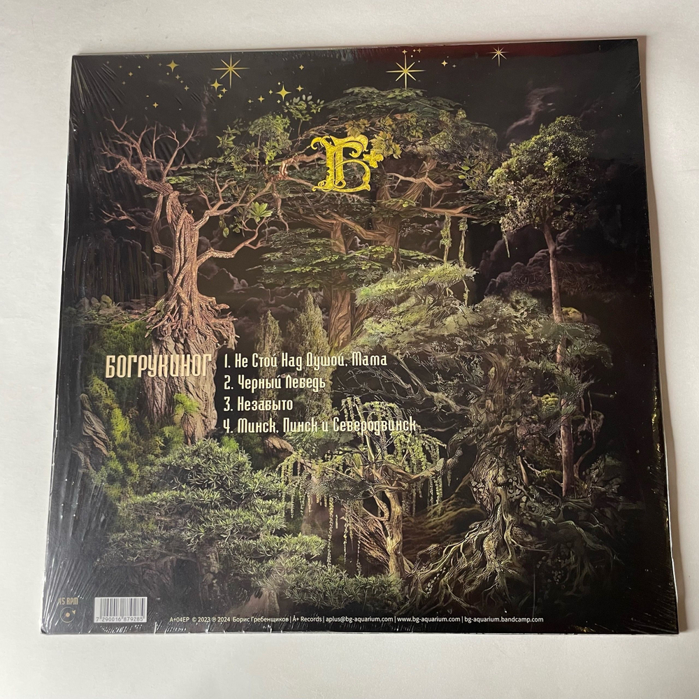 Виниловая пластинка LP БГ Богрукиног (Борис Гребенщиков) (Россия 2023)