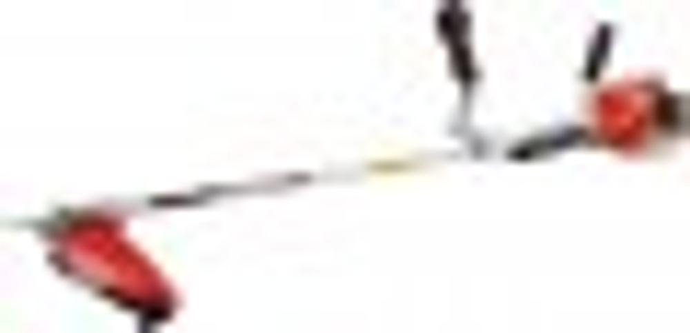 Мотокоса Evoline BCG25ES