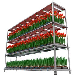 Светильник АгроСвет SEED (стеллажный) 75вт 150мкмоль FS-S-АGRО-75-20-XY-1500