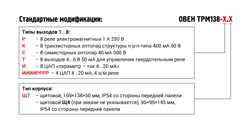 Измеритель-регулятор универсальный восьмиканальный ТРМ138-ИИИРРРРР