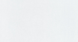 Микрошенилл Miss (Мисс) 52 белый дым