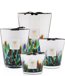 Amazonia, свеча Rainforest MAX 10, Baobab Collection