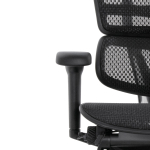 Кресло FALTO Ergohuman Ultra с подножкой ( чёрный каркас /сетка чёрный T-168-B1 Black )