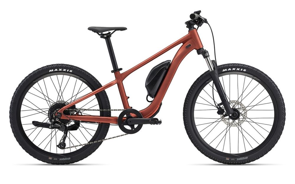 Электровелосипед Giant Talon E+ Junior 24 (2022) Электровелосипед Giant Talon E+ Junior 24 (2022)