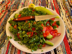 🏆Два Кухонных ножа Alexander M AUS-8 Red G10